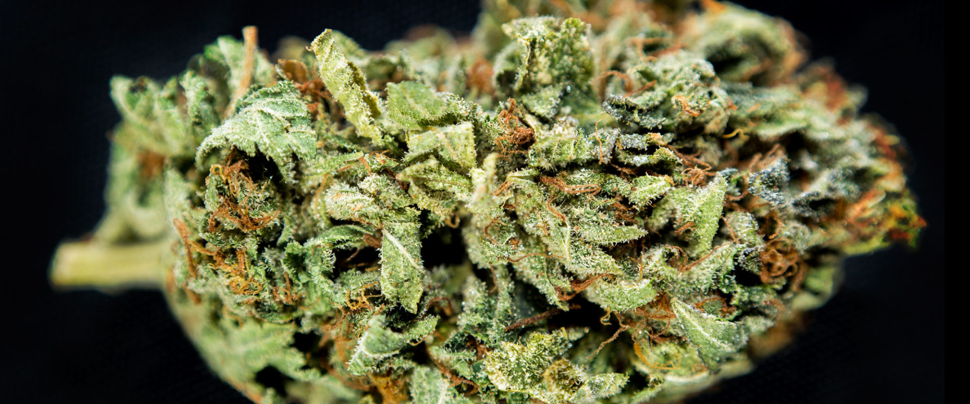 What level of marijuana is dui?