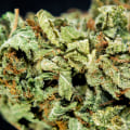 What level of marijuana is dui?