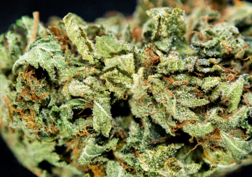 What level of marijuana is dui?